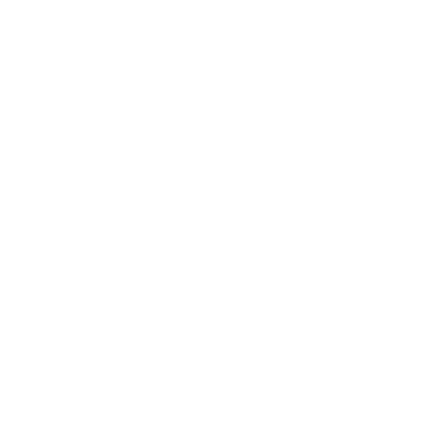 Clark Lindsey Logo